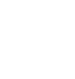 Text: 100% cotton