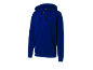 Blue zip-up hoodie with black drawstrings