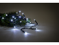 Christmas string lights with white LED bulbs on green fir branches.