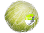 Packaged iceberg lettuce.