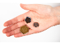 Three board game coins of different values resting on a palm.