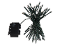 Decorative LED string lights with green cable and control box with timer, on, and off options.