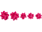Five fuchsia gift bows of varying sizes on a black background.