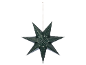 Dark green hanging star decoration with small star cutouts.