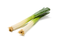 Two fresh leeks with their roots, diagonally placed on a white background.