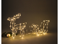 Illuminated acrylic reindeer and sleigh for Christmas decoration.