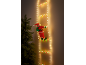 Light-up ladder with Santa and Christmas tree.