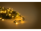 Warm white LED Christmas string lights on a pine branch