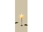 Illuminated Christmas star on a black stand, with festive decorations.
