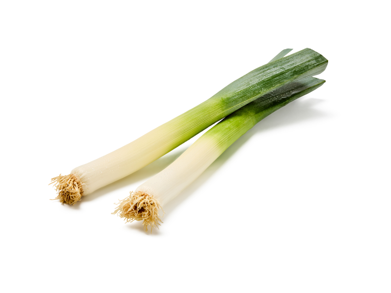 Two fresh leeks with their roots, diagonally placed on a white background.