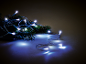 Fir branches with glowing white Christmas lights on a dark background.