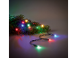 LED Christmas lights on a fir branch, with multicolor light.