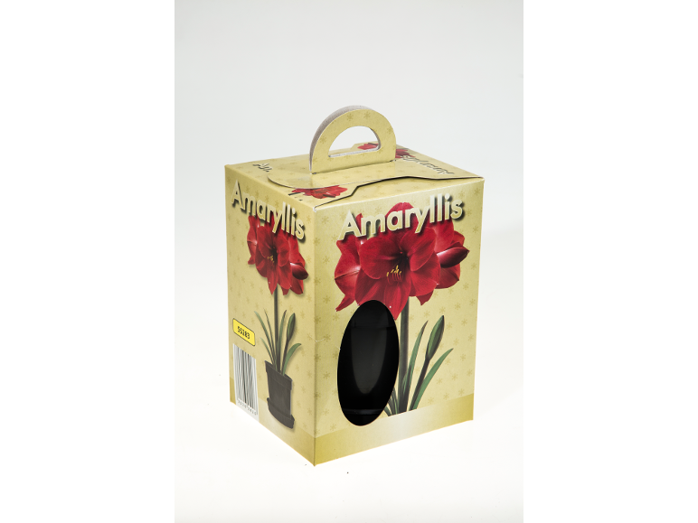 Gift box with handles for Amaryllis, featuring red flower illustrations.