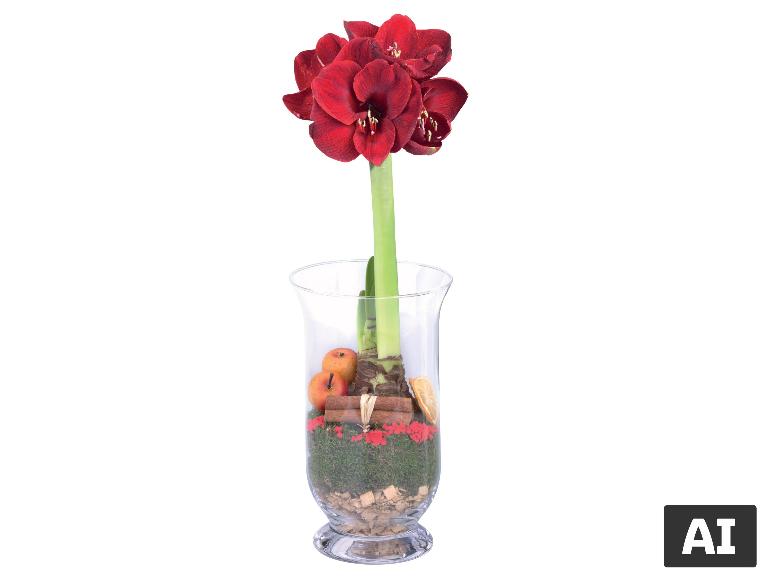 Red amaryllis in a glass vase with autumn decorations [Image AI-generated]