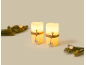 Two LED candles with twine and star between fir branches