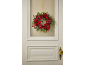 Christmas wreath with red poinsettia flowers and green foliage hanging on a white door.