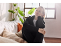 Woman in black loungewear relaxing on a sofa with pillows, bathed in sunlight.