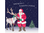 Christmas card featuring Santa Claus and a reindeer in the snowfall.