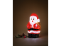Light-up Santa Claus figure with fir branches and pine cones.
