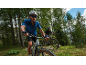 Two men in helmets and sportswear mountain biking on a forest trail.