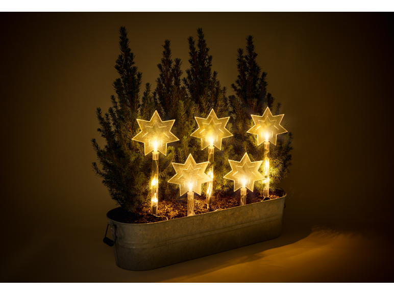 Decorative plant with LED star lights in a metal planter.