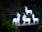 Four illuminated Christmas reindeer in a festive decoration with plants and pinecones.