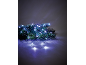 Fir branch with white LED string lights, creating a festive atmosphere.