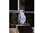 Light-up penguin decoration on wrapped gifts, with a window in the background.