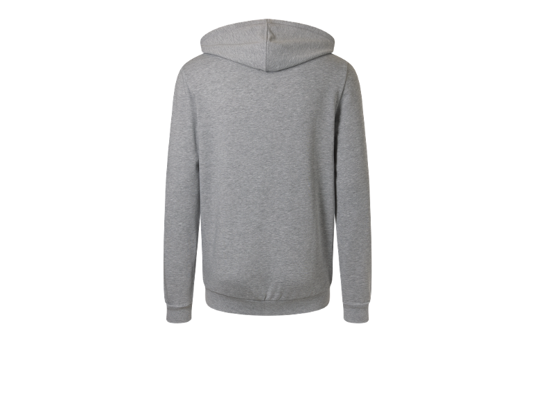 Grey hooded sweatshirt, back view.