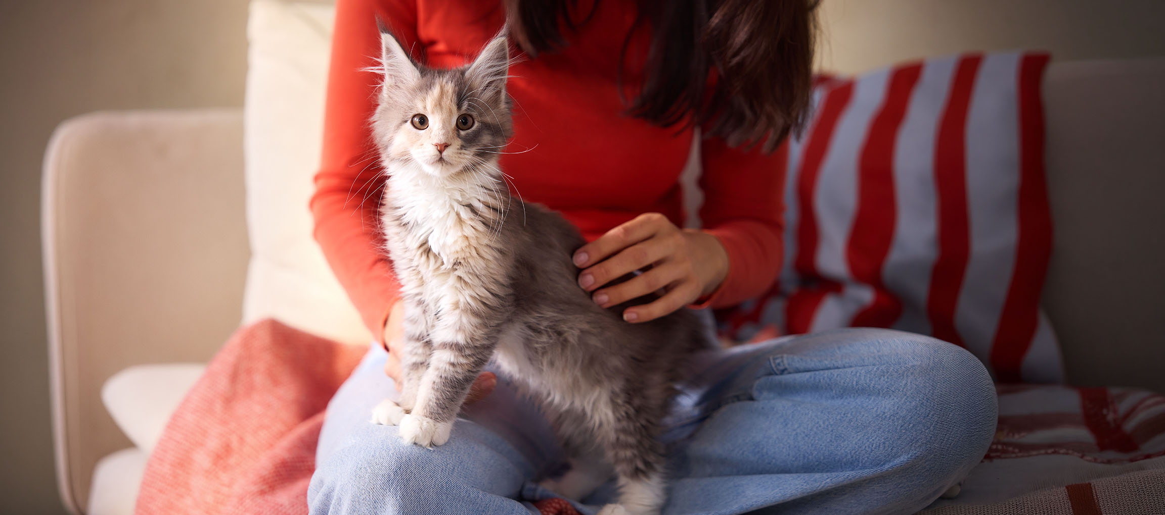 Woman in red shirt petting a kitten sitting on her lap on a sofa.