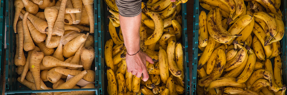 Bananas and parsnips in crates.