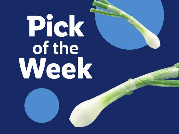 Pick of the Week: Two spring onions on a dark blue background with light blue circles.