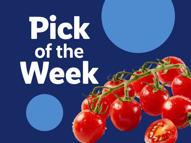 Pick of the Week: Fresh cherry tomatoes on the vine with water droplets.