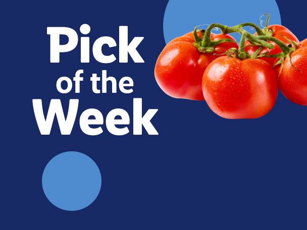 Pick of the Week: Fresh red tomatoes on the vine against a blue background.