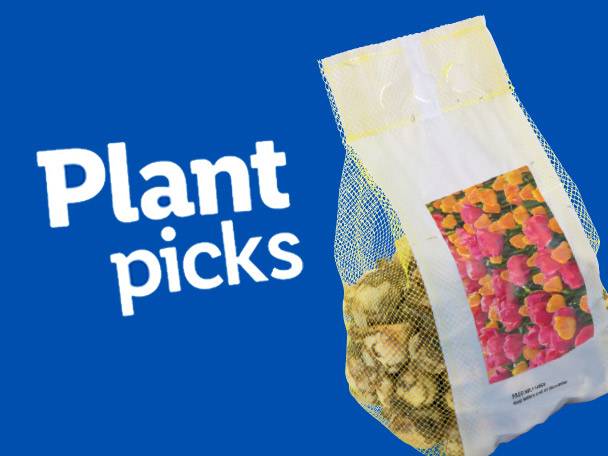 A mesh bag of plant bulbs with a label showing pink and orange flowers, next to text 'Plant picks'.