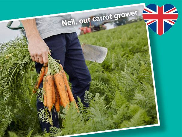 Big On Fresh British Carrots