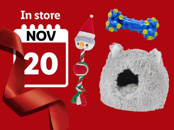 Pet products including a snowman toy, bone toy, and pet bed, with a calendar showing 'NOV 20'.