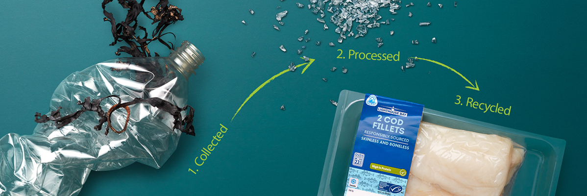 Plastic bottles, processed and recycled, Lighthouse Bay fish.