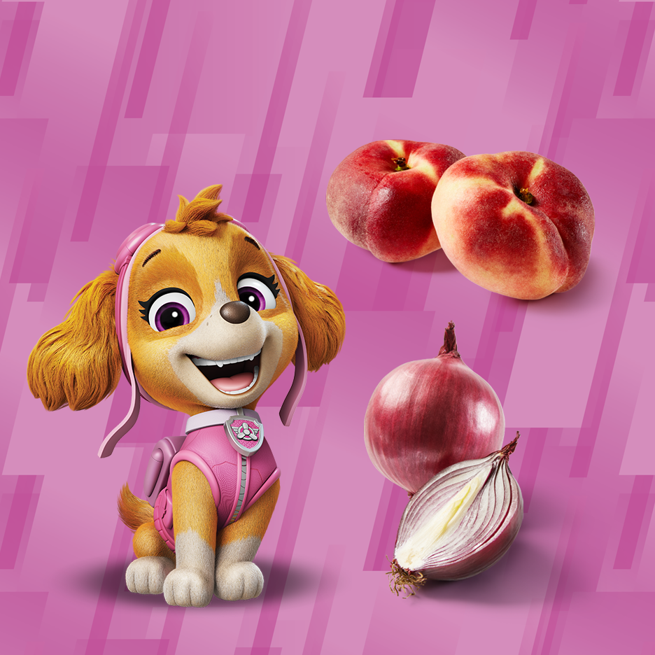 Skye from Paw Patrol with peaches and red onions on a pink background.