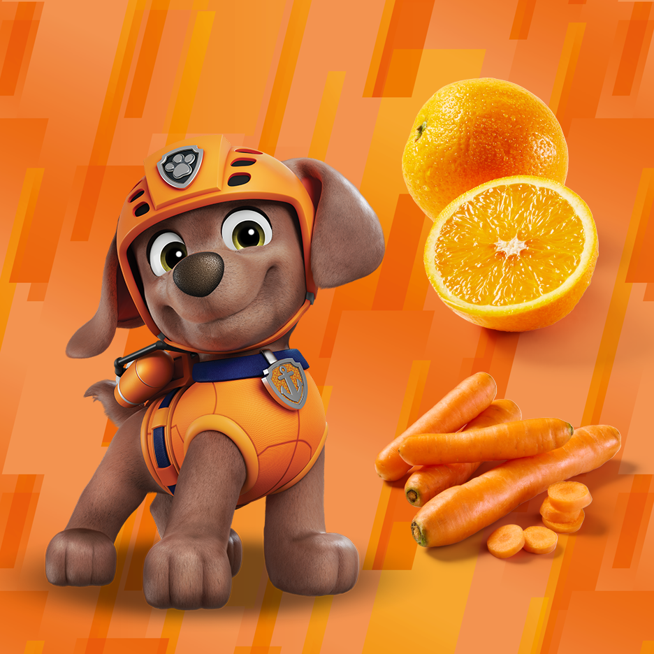 Cartoon puppy with oranges and carrots on an orange background.