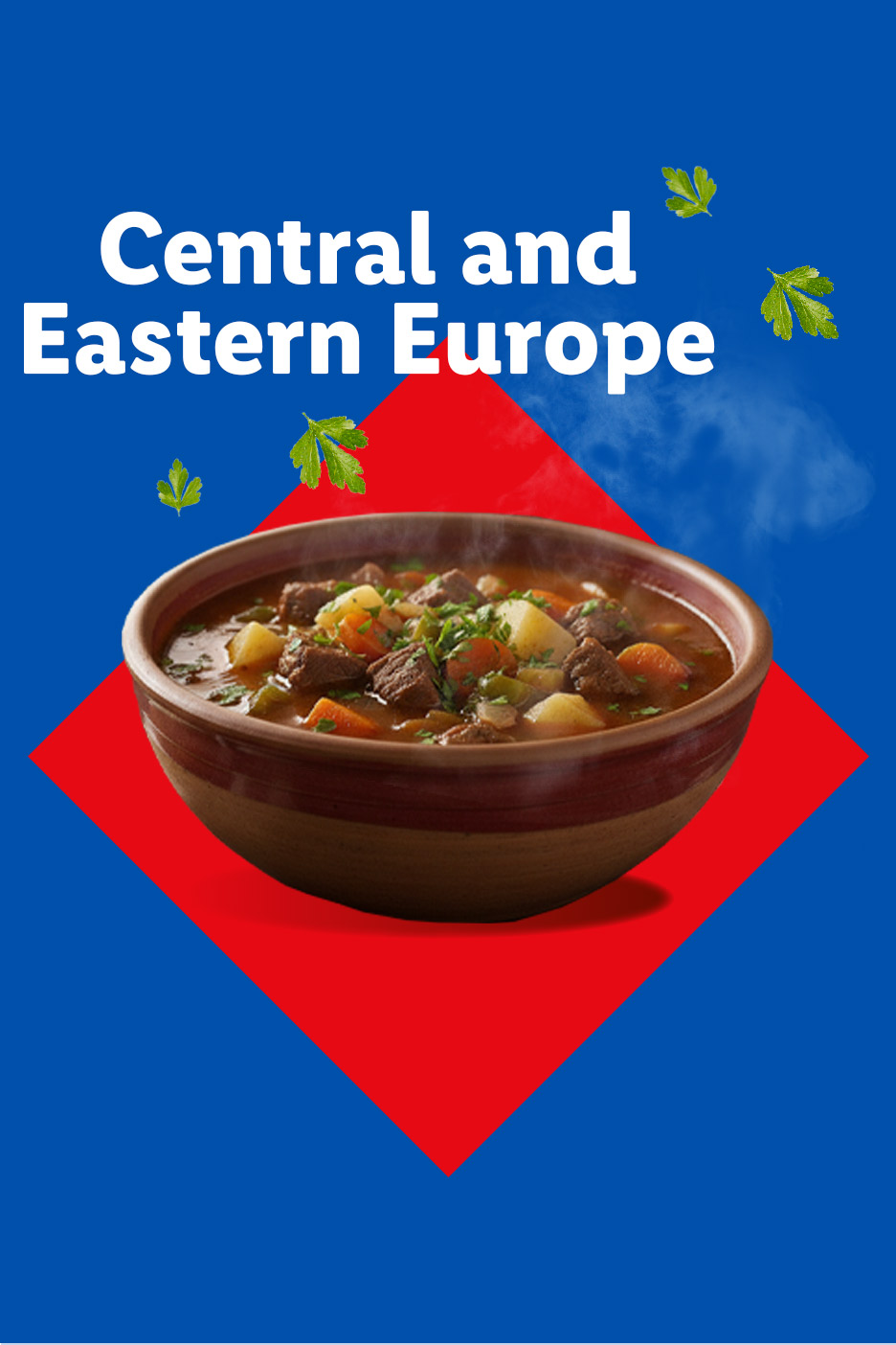 Hearty beef stew with vegetables in a bowl, with text 'Central and Eastern Europe'