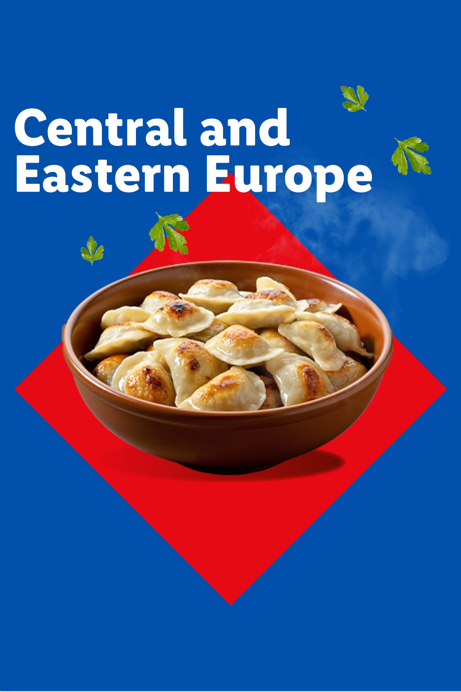 A bowl of golden-brown dumplings on a red diamond, with text 'Central and Eastern Europe'.