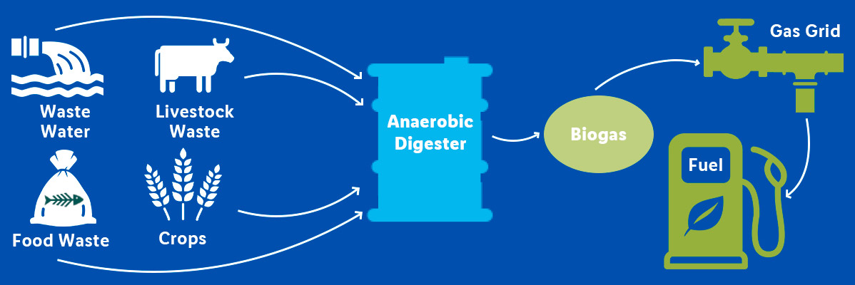 Biogas production from wastewater, livestock waste, and crops.