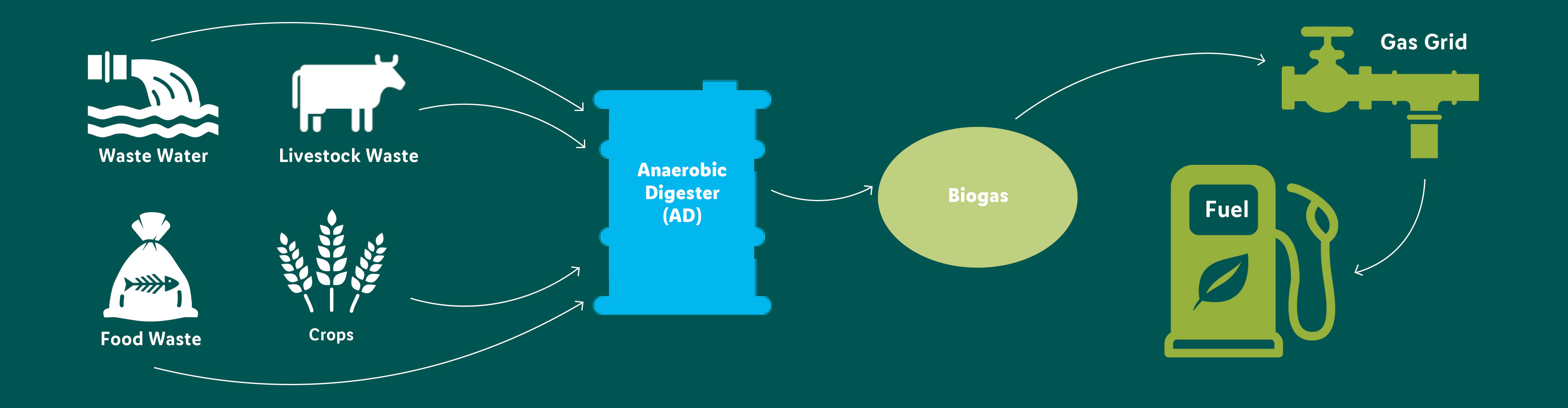 What is Biogas?