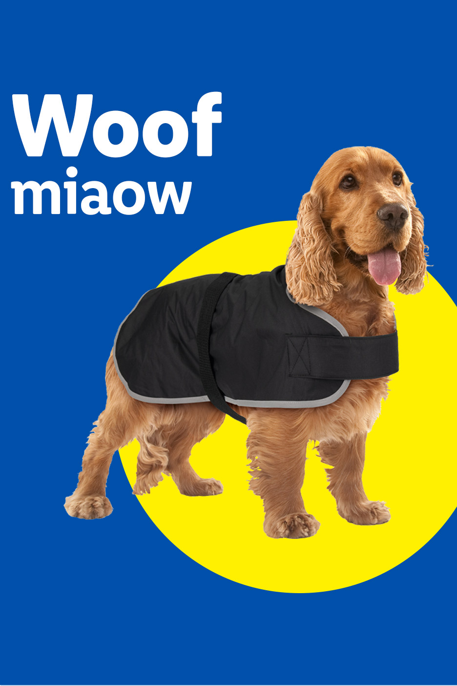 Dog wearing a black coat, with text 'Woof miaow' on a blue and yellow background.