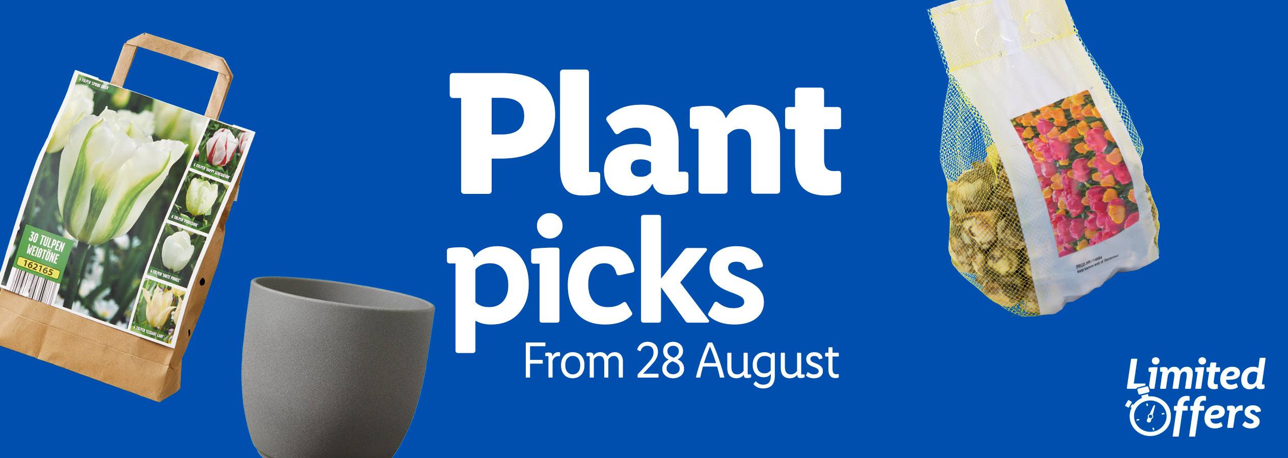 A banner advertising 'Plant picks From 28 August' with tulip bulbs, a planter, and a bag of tulip bulbs.