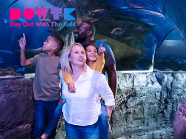 A family enjoys a day out at an aquarium, as shown in a Day Out With The Kids advertisement.