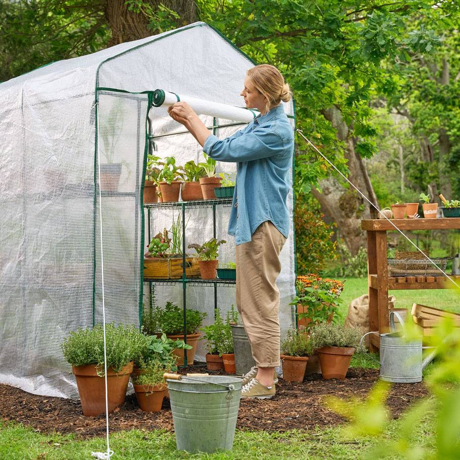 Woman tending to plants in a walk-in greenhouse with shelves of potted herbs and vegetables.