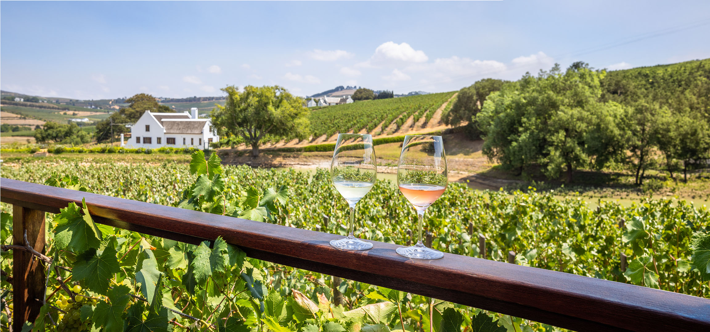 Two glasses of wine, white and rosé, with a vineyard and white house in the background.