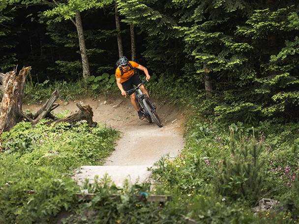 Mountain biker on a forest trail.